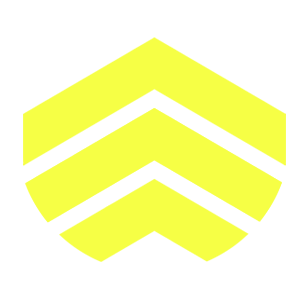 logo yellow